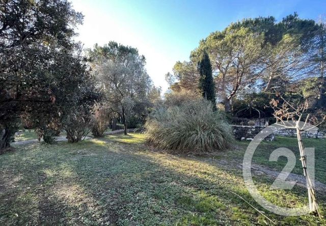 terrain à vendre - 3107.0 m2 - MOUGINS - 06 - PROVENCE-ALPES-COTE-D-AZUR - Century 21 Hanna Logis