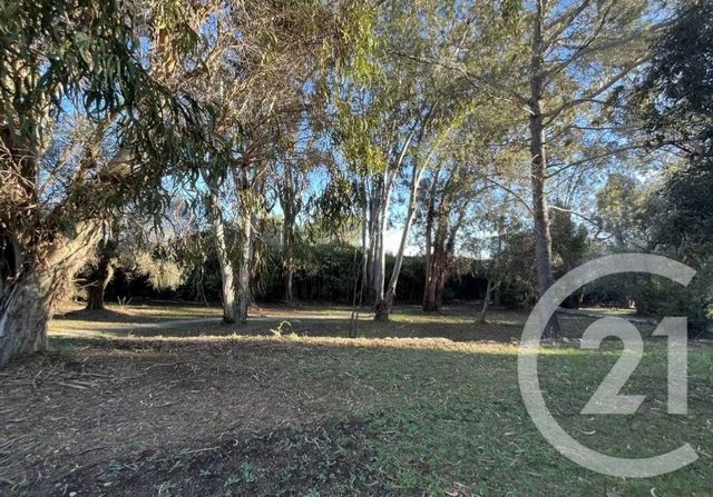 terrain à vendre - 3107.0 m2 - MOUGINS - 06 - PROVENCE-ALPES-COTE-D-AZUR - Century 21 Hanna Logis