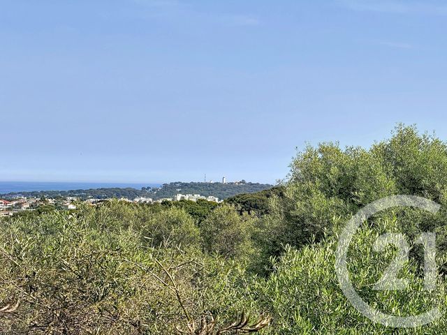 maison à vendre - 7 pièces - 147.5 m2 - ANTIBES - 06 - PROVENCE-ALPES-COTE-D-AZUR - Century 21 Hanna Logis