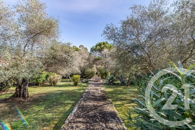 maison à vendre - 7 pièces - 337.0 m2 - MOUGINS - 06 - PROVENCE-ALPES-COTE-D-AZUR - Century 21 Hanna Logis