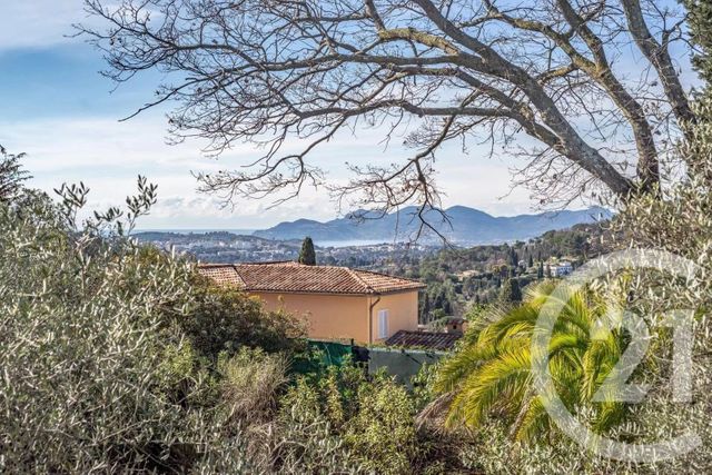 maison à vendre - 7 pièces - 390.0 m2 - MOUGINS - 06 - PROVENCE-ALPES-COTE-D-AZUR - Century 21 Hanna Logis