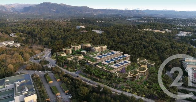 Appartement T2 à vendre - 2 pièces - 42.1 m2 - VALBONNE - 06 - PROVENCE-ALPES-COTE-D-AZUR - Century 21 Hanna Logis